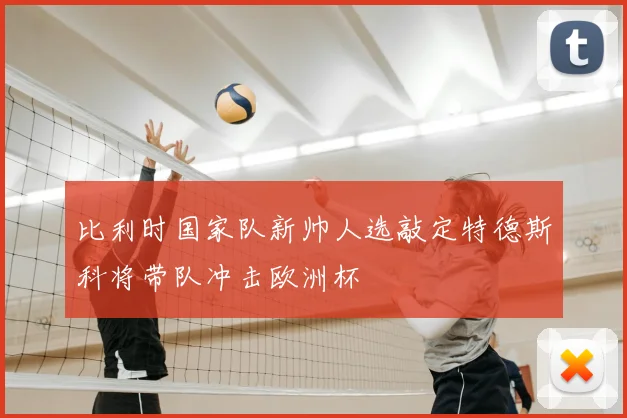 比利时国家队新帅人选敲定特德斯科将带队冲击欧洲杯