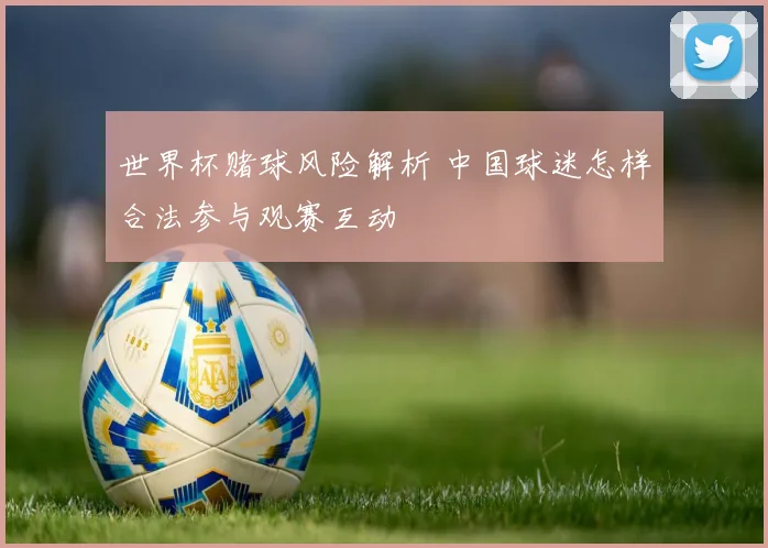 世界杯赌球风险解析 中国球迷怎样合法参与观赛互动