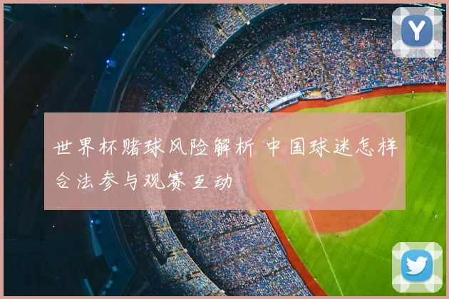 世界杯赌球风险解析 中国球迷怎样合法参与观赛互动