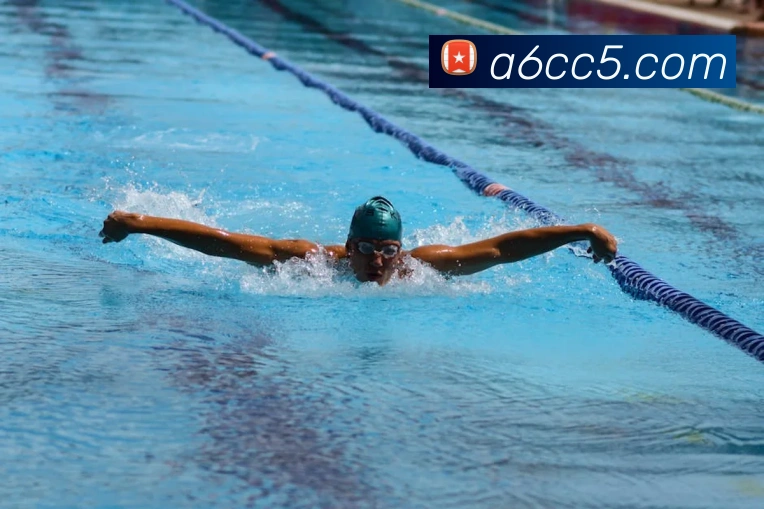 华体在线登录入口服务体系